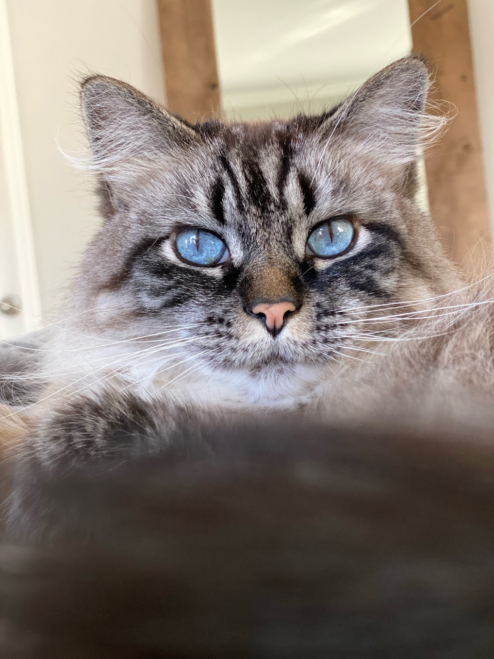Munch is judging you